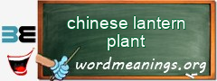 WordMeaning blackboard for chinese lantern plant
